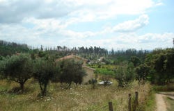 São Miguel de Poiares, Coimbra District