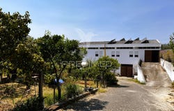 Riachos, Torres Novas, Santarém District 2350