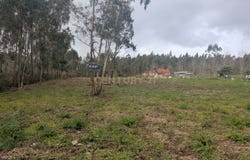 Palhaça, Aveiro District