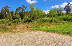 Aveiro, Aveiro District