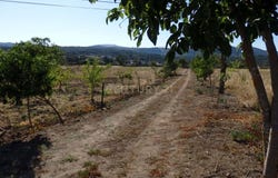 Curalha, Vila Real District
