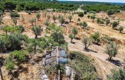 Évora, Évora District 7050