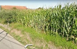 Ovar, Aveiro District