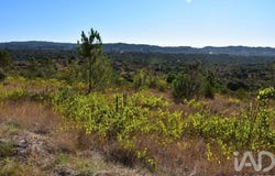 Santarém, Santarém District