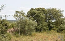 Ferreira do Zêzere, Santarém 2240-300