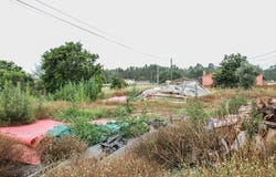 Carriço, Leiria District