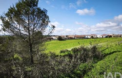 Beja, Beja District