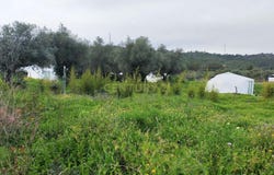 Setúbal (são Julião, Setubal