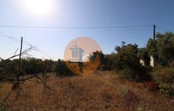 Faro, Faro