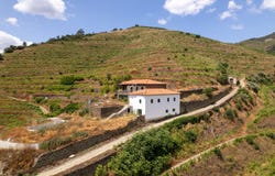 Sabrosa, Vila Real District 5085-243