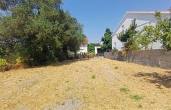 Olaia e Paço, Santarém District