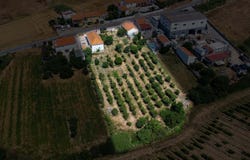 Ventosa, Lisbon