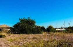 Pechão, Algarve 8700