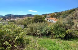 Ilha da Madeira, Madeira