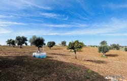 Beja, Beja District