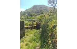 Tondela, Viseu District