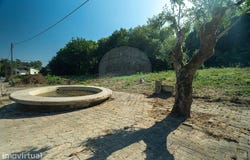 Alquerubim, Aveiro District