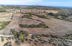Torres Novas (São Pedro), Santarém District