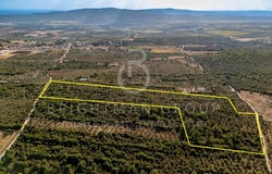 Borba (Matriz), Évora 7150