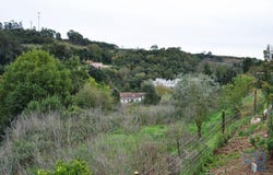 Leiria, Leiria District