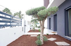 Azeitão (são Lourenço e São Simão), Setubal