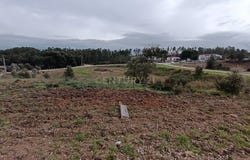 São Vicente da Beira, Castelo Branco District