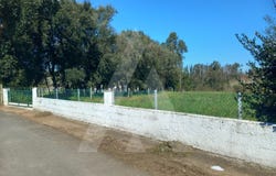 Alquerubim, Aveiro District
