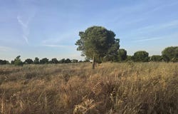Ourique, Beja District 7670