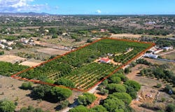 Quarteira, Algarve
