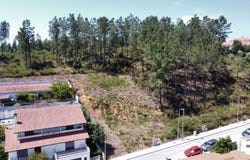 Pombal, Leiria District
