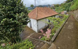 Faial, Madeira 9230