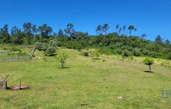 Leiria, Leiria District