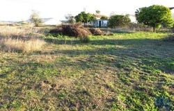 Tomar, Santarém 2305-101