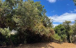 Benedita, Leiria District