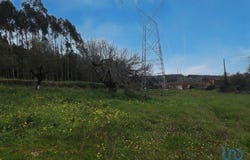 Leiria, Leiria District