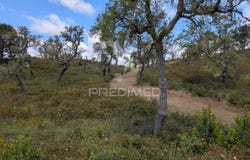 Grândola e Santa Margarida da Serra, Grândola, Setubal 7570