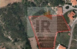 Caldas da Rainha, Leiria District