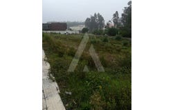 Santa Joana, Aveiro District