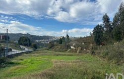 Porto, Porto District