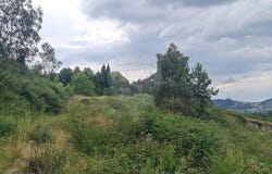 Fafe, Braga Municipality 4820