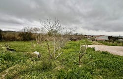 Cela, Leiria 2460