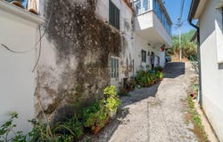 Santo António dos Olivais, Coimbra District