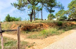 Portimão, Algarve
