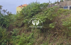 Ponta do Sol, Madeira