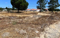 Torrão, Setubal