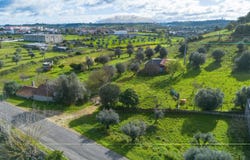 Alcanena e Vila Moreira, Santarém District