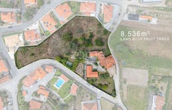 Caminha, Viana do Castelo District