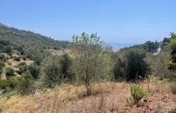Sesimbra (Santiago), Setubal