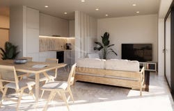 Peniche, Leiria District