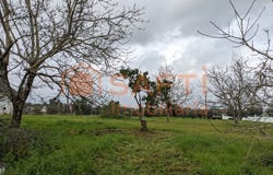 Vermoil, Leiria District